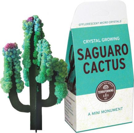 Crystal Growing Saguargo Cactus